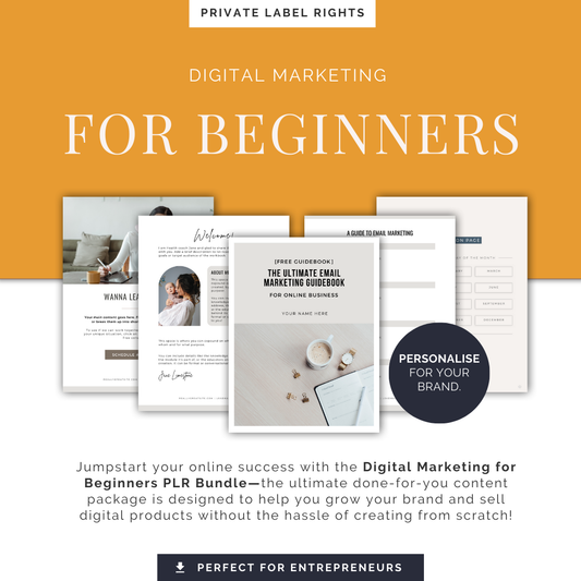 Digital Marketing for Beginners PLR Bundle